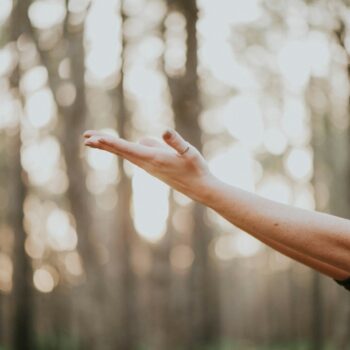 wellness journey
