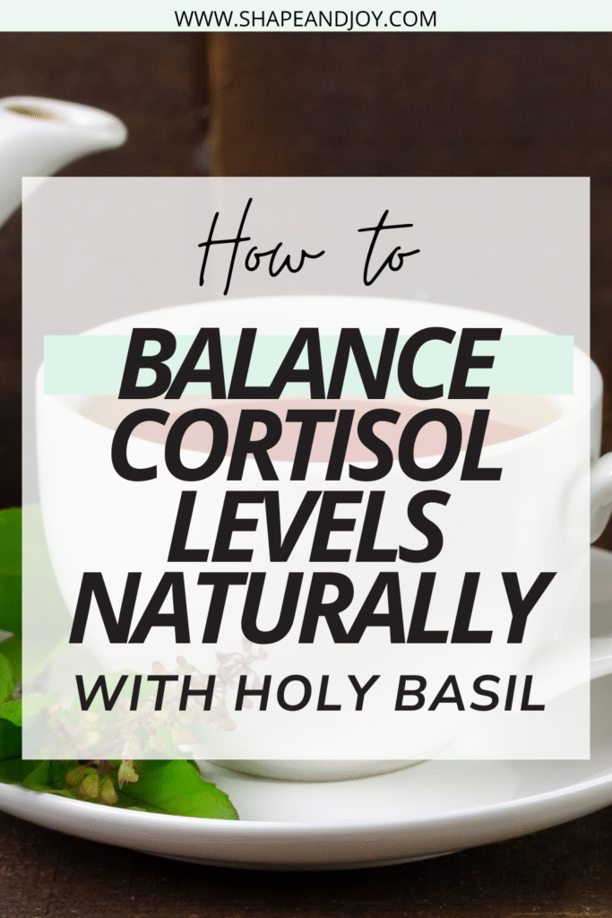 HOLY BASIL HEALTH BENEFITS