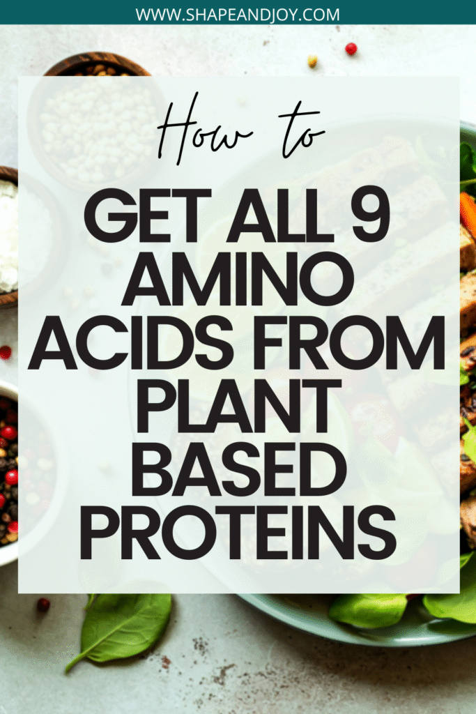 plant-based protein